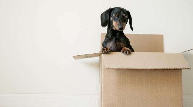 Get A Clutter Free Home In Five Steps’