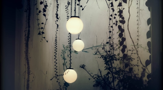 How to Decorate a Small Garden on a Budget