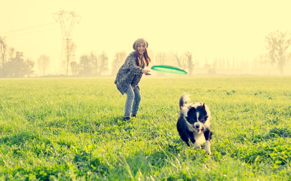 Our pets deserve the best, just like us!